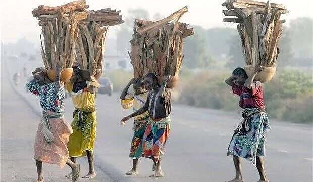 c7e92e7f-c43b-49b9-bbff-66f0e4bafadc-620x360